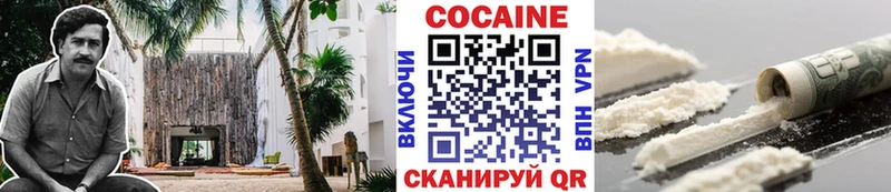 COCAIN Fish Scale  Купить закладки  Игра 