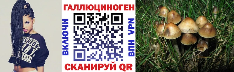 Купить закладки  Игра  Галлюциногенные грибы ЛСД 